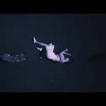 [EXO] 여자랑 <b>늑대</b> 나오는거 늑미랑 관련있는거?