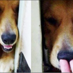 [소름실화] 귀신과 손잡은 썰 (단편)