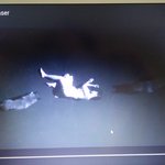 [EXO] 이 <b>늑대</b> 두마리는 뭔 의밀까?