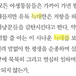 [EXO] 꾸끌에 <b>늑대</b> 쳐봤는데