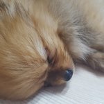 알콩이보시고 이번<b>주도</b> 힐링하세요~^^