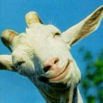 아이스크림에 <b>매미</b>들어가있어..ㄷㄷ