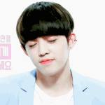 [세븐틴] ㅅㄷM뮤톡 <b>닉넴</b> 뭐할까