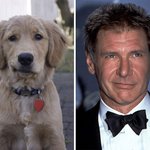 외국 유명인과 똑 닮은 동물들