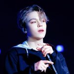 [세븐틴] ㅅㄷ) 우리 노래 이어부르기 하자 !!