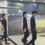 [EXO] 야 이거 짹에