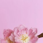 <b>혜인</b>아 너 판하는거 안다