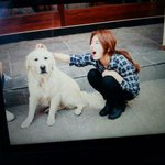 반려동물에 <b>무장</b>해제된 아이돌