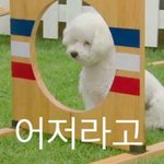 [댓글부탁해] 나 왕따시킨애 지금 혼자다닐것같아