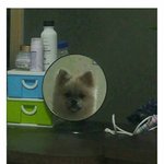[댓글부탁해] <b>짝</b><b>남</b>이 자꾸 <b>옆</b>자리에 앉는데