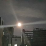 [<b>댓글</b>부탁해] 얘들아 지금 <b>달</b>봐봐
