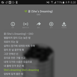 [EXO] <b>She</b> 스트리밍~<b>She</b>스트리밍이라고 들림ㅋㅋ