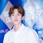 [백현] [<b>HD</b>포토] 엑소(EXO) 백현, ‘멍뭉이 봤으니 로또...
