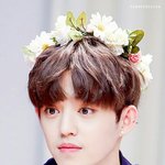 [세븐틴] ㅅㄷ