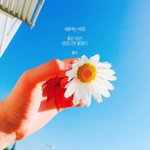 [댓글부탁해] 너희 지금 후회하는 <b>일들</b> 있음?