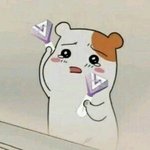 [세븐틴] ㅅㄷ오늘 게임에서 <b>캐럿</b>들만남ㅋㅋㅋ