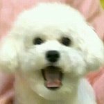 [EXO] <b>훈이</b> 염색해따!!!!!!!!!!!!!!!
