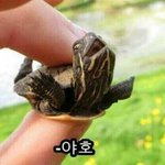 [댓글부탁해] 다이어트 계획표좀 봐주세요!