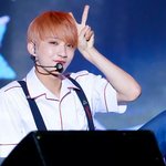 [세븐틴] ㅅㄷ <b>캐럿</b>떨