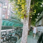 [세븐틴] 이거누구야..?