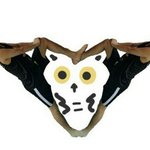 [세븐틴] 솔직히 <b>캐럿</b>들 이건 다 알거다