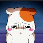 [조언부탁해] 반 장애인이 계속 성추행해 제발 도와줘 죽고싶어