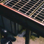 [CHEN] 몬스터에서도 맞더니 로또에서도