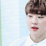 [세븐틴] ㅅㄷ정말 권수장님은
