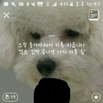[EXO] 이거ㅅㅂㅋㅋㅋㅋㅋㅋㅋ