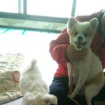 [<b>동행</b>세상] 만두는 학대속에 노출되어 살아온 아이들입니다.