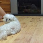 [댓글부탁해] 나이거<b>썸</b>타는거맞음??
