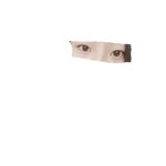 이거 <b>쌍</b><b>액</b>한 눈인데 쌍수할까