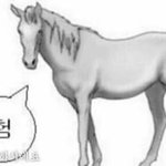 [드루와] 프사 골려쥬량