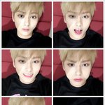 [세븐틴] <b>누</b>가 세븐틴 셀고래