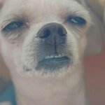 야 내가 렌즈를 5시간동안