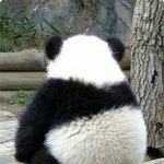 나 안검<b>하수</b>인데