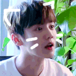 [EXO] <b>이런글</b> 쓰는거 그런데 조카 귀엽다