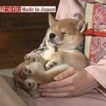 [EXO] <b>랜챗</b>에서 초등학교 동창만남vs게임에서 만난사람이 옆아파트...