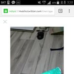 이거 샤이니봉이야 <b>오마</b>이걸봉이야