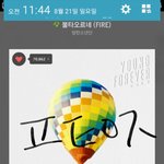 [방탄소년단] 스밍을 얼마나 돌린건지