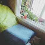 [꿀팁] 혼자서 휴가하는법 알려줌ㅋㅋㅋ