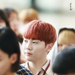 [세븐틴] ㅅㄷ승관이가 좋아하는노래