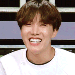 [방탄소년단] 호시기호시<b>기행</b>