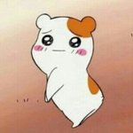 [아이유] 이지은 에비<b>츄</b>설