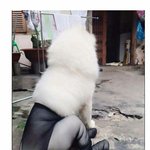 [EXO] ㅁ1친 이거뭐얔ㅋㅋㅋㅋㅋㅋㅋㅋㅋ