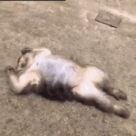 나보다 유튜브 많이보는 사람 있어?