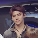 [EXO] 늑대<b>소년</b> 같다 늑대 부족 훈남