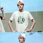 [EXO] 앵무새머리 <b>가격</b> 물어본쓰닌데