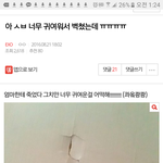 [EXO] ㅋㅋㅋㅋ이거 조카 우리집 상황이랑 똑같다<b>zzz</b>ㅋㅋ