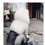 [댓글부탁해] 너네 <b>열등</b>감 다른거 보다 심하게 느끼는거 뭐 있어...